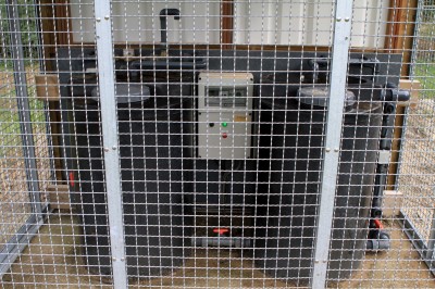 IMG_6447 (Aangepast).JPG